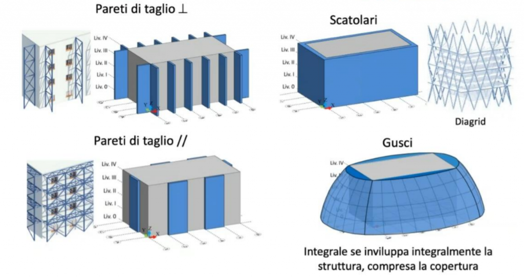 Endoscheletri-Esoscheletri 3